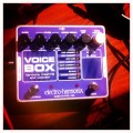 voicebox
