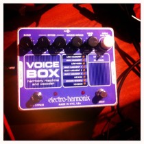 voicebox